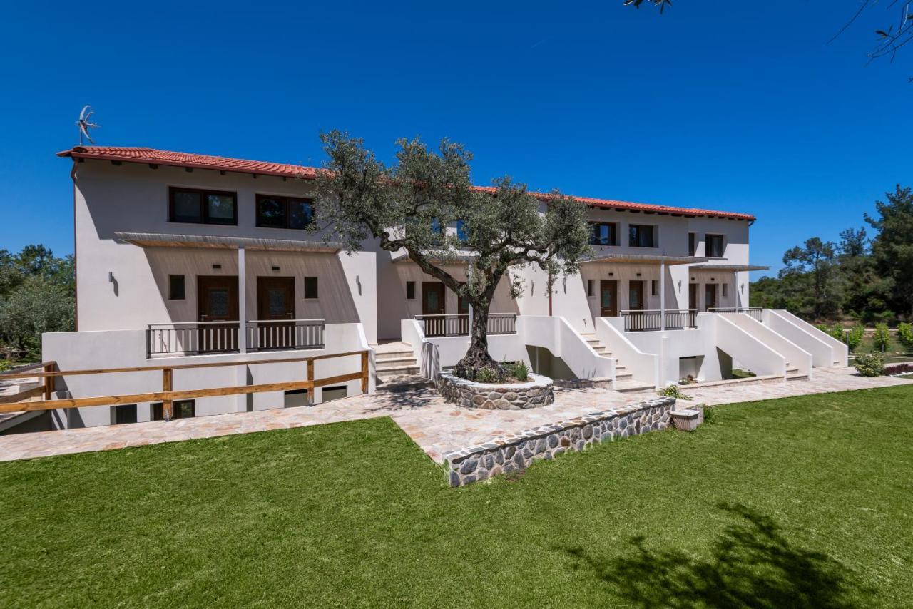 Dionysus Apartments & Suites イエリソス エクステリア 写真