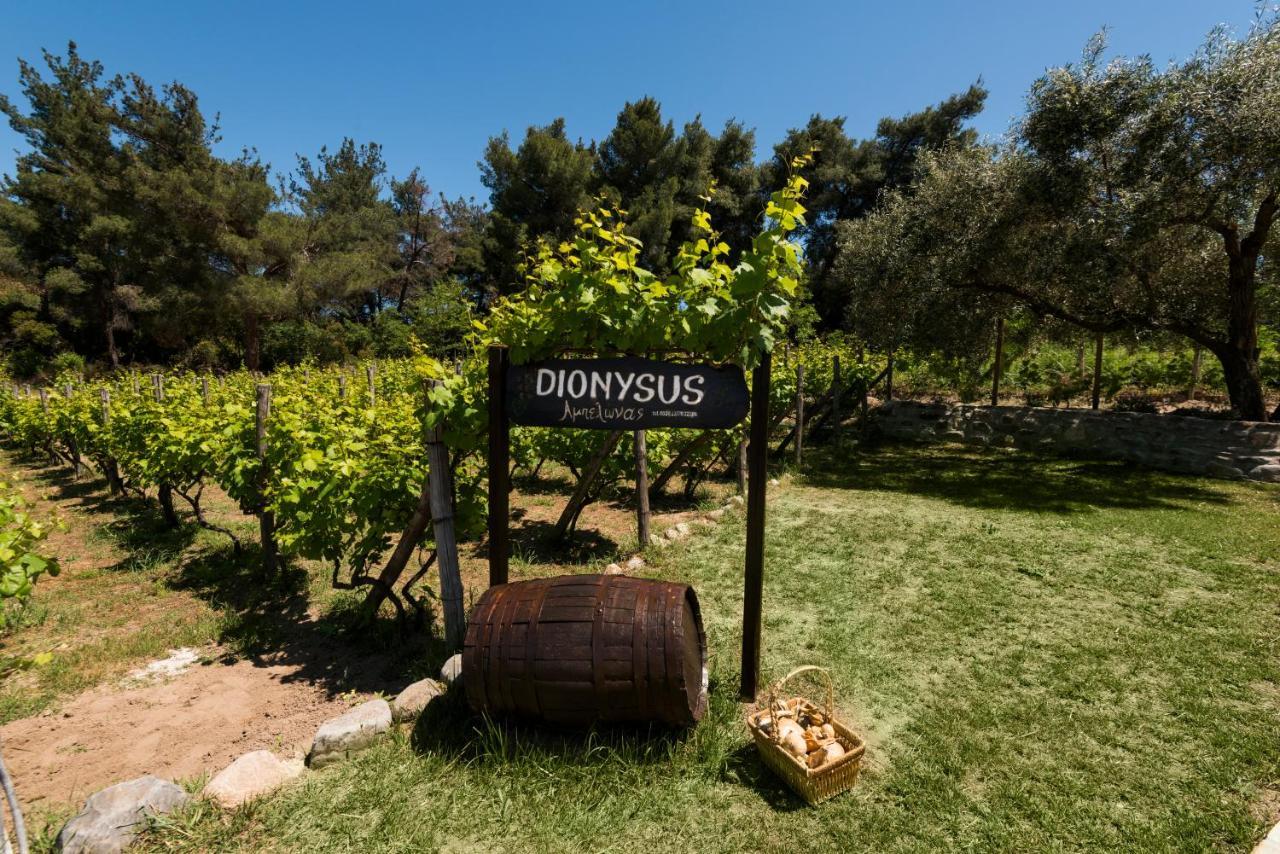 Dionysus Apartments & Suites イエリソス エクステリア 写真