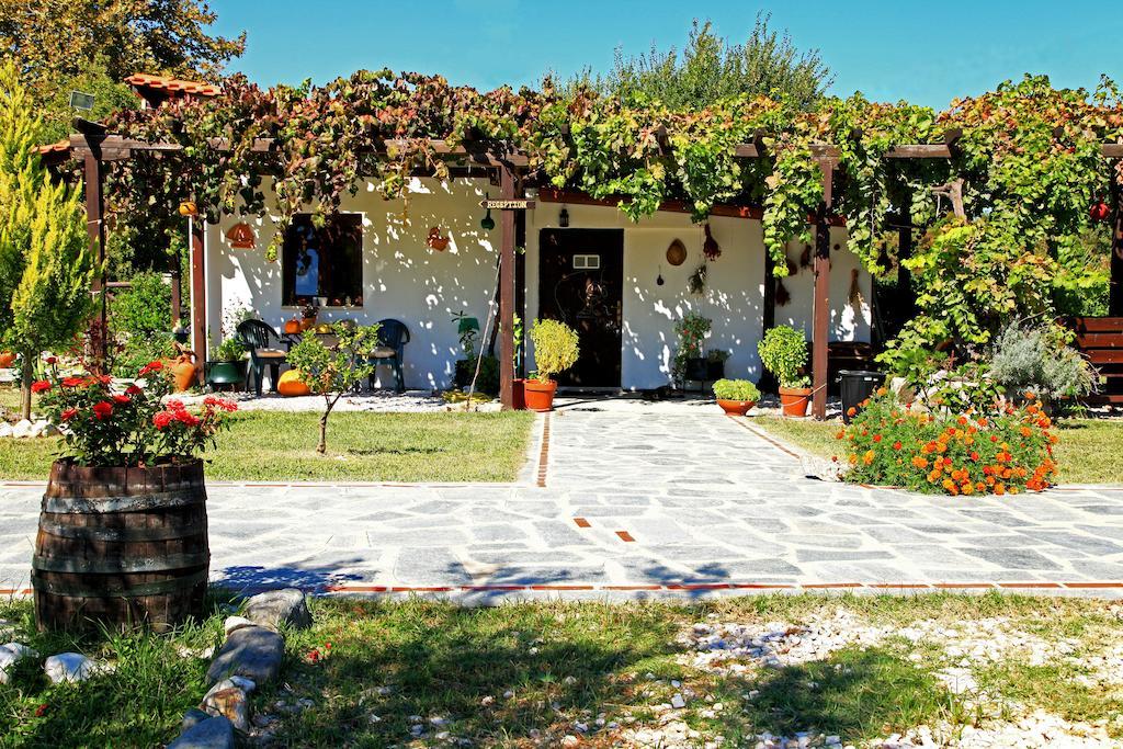 Dionysus Apartments & Suites イエリソス エクステリア 写真