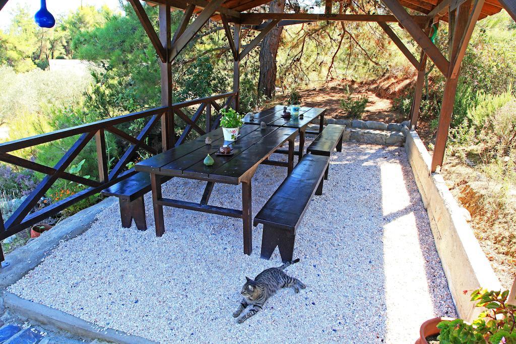 Dionysus Apartments & Suites イエリソス エクステリア 写真